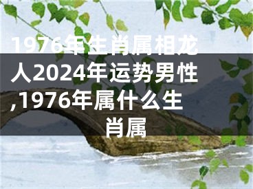 1976年生肖属相龙人2024年运势男性,1976年属什么生肖属