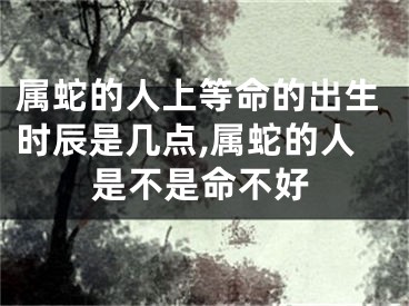 属蛇的人上等命的出生时辰是几点,属蛇的人是不是命不好