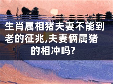 生肖属相猪夫妻不能到老的征兆,夫妻俩属猪的相冲吗?