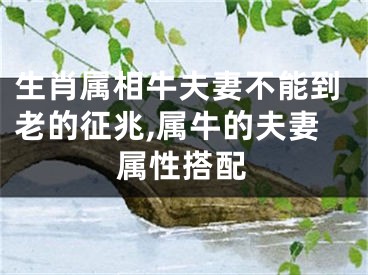 生肖属相牛夫妻不能到老的征兆,属牛的夫妻属性搭配