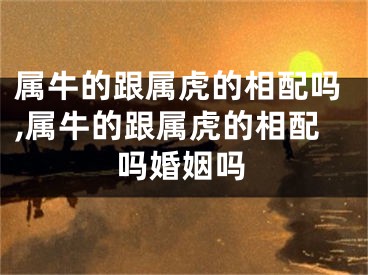 属牛的跟属虎的相配吗,属牛的跟属虎的相配吗婚姻吗