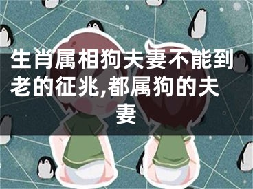 生肖属相狗夫妻不能到老的征兆,都属狗的夫妻