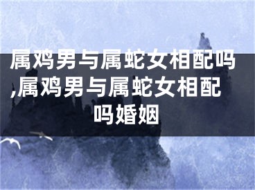 属鸡男与属蛇女相配吗,属鸡男与属蛇女相配吗婚姻