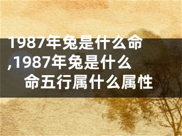 1987年兔是什么命,1987年兔是什么命五行属什么属性