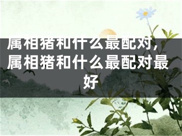 属相猪和什么最配对,属相猪和什么最配对最好