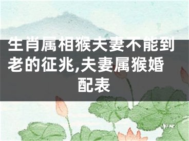 生肖属相猴夫妻不能到老的征兆,夫妻属猴婚配表