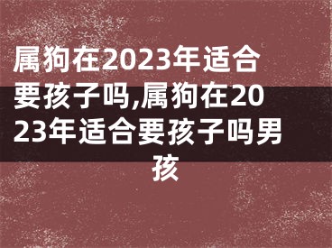 属狗在2023年适合要孩子吗,属狗在2023年适合要孩子吗男孩