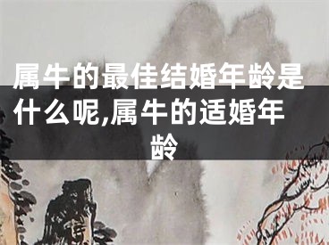 属牛的最佳结婚年龄是什么呢,属牛的适婚年龄