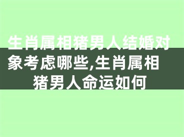 生肖属相猪男人结婚对象考虑哪些,生肖属相猪男人命运如何