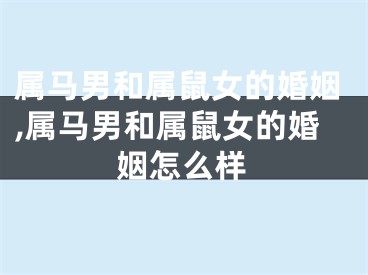 属马男和属鼠女的婚姻,属马男和属鼠女的婚姻怎么样