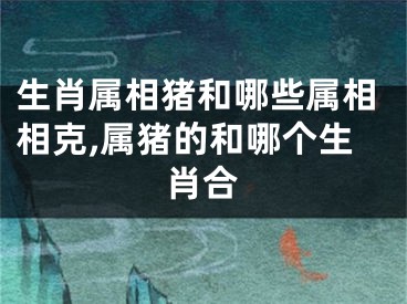 生肖属相猪和哪些属相相克,属猪的和哪个生肖合