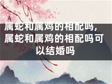 属蛇和属鸡的相配吗,属蛇和属鸡的相配吗可以结婚吗