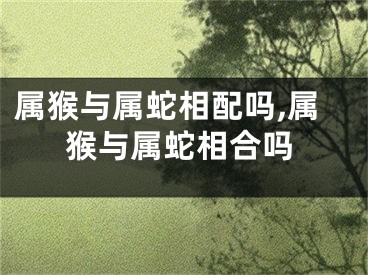 属猴与属蛇相配吗,属猴与属蛇相合吗