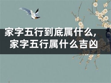 家字五行到底属什么,家字五行属什么吉凶