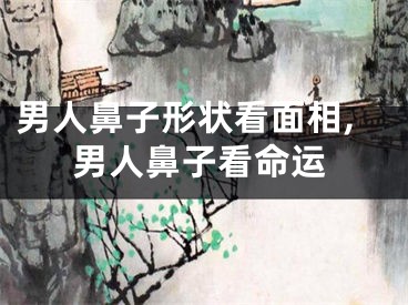 男人鼻子形状看面相,男人鼻子看命运