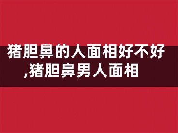 猪胆鼻的人面相好不好,猪胆鼻男人面相
