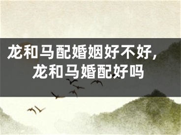 龙和马配婚姻好不好,龙和马婚配好吗