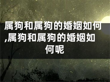 属狗和属狗的婚姻如何,属狗和属狗的婚姻如何呢