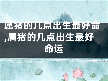 属猪的几点出生最好命,属猪的几点出生最好命运