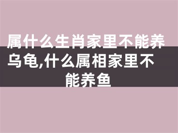 属什么生肖家里不能养乌龟,什么属相家里不能养鱼
