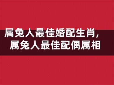 属兔人最佳婚配生肖,属兔人最佳配偶属相
