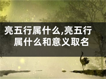亮五行属什么,亮五行属什么和意义取名