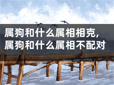 属狗和什么属相相克,属狗和什么属相不配对