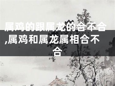 属鸡的跟属龙的合不合,属鸡和属龙属相合不合