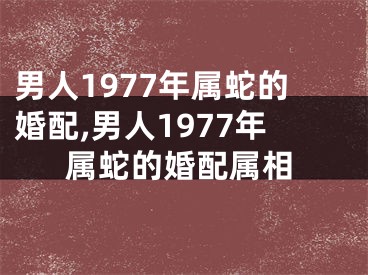 男人1977年属蛇的婚配,男人1977年属蛇的婚配属相