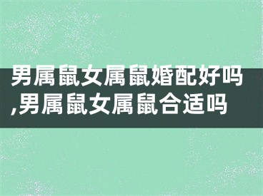 男属鼠女属鼠婚配好吗,男属鼠女属鼠合适吗