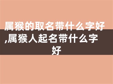 属猴的取名带什么字好,属猴人起名带什么字好