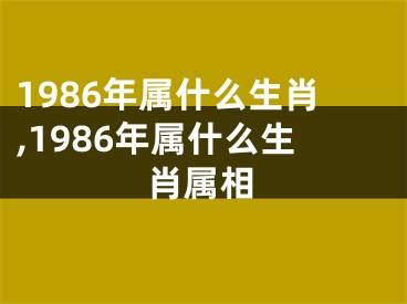1986年属什么生肖,1986年属什么生肖属相