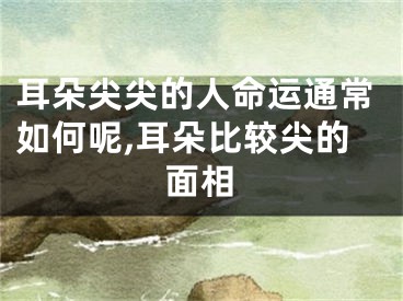 耳朵尖尖的人命运通常如何呢,耳朵比较尖的面相