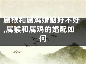 属猴和属鸡婚姻好不好,属猴和属鸡的婚配如何