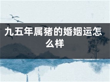 九五年属猪的婚姻运怎么样