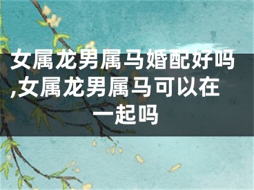 女属龙男属马婚配好吗,女属龙男属马可以在一起吗