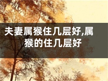 夫妻属猴住几层好,属猴的住几层好
