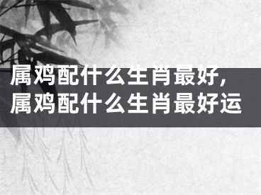 属鸡配什么生肖最好,属鸡配什么生肖最好运