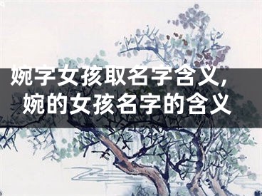 婉字女孩取名字含义,婉的女孩名字的含义
