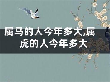 属马的人今年多大,属虎的人今年多大