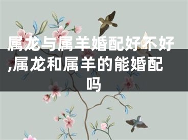 属龙与属羊婚配好不好,属龙和属羊的能婚配吗