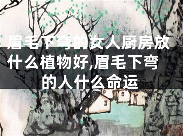 眉毛下弯的女人厨房放什么植物好,眉毛下弯的人什么命运