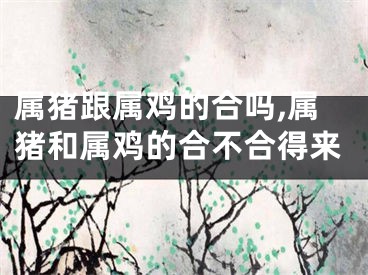 属猪跟属鸡的合吗,属猪和属鸡的合不合得来