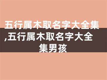 五行属木取名字大全集,五行属木取名字大全集男孩
