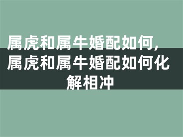 属虎和属牛婚配如何,属虎和属牛婚配如何化解相冲