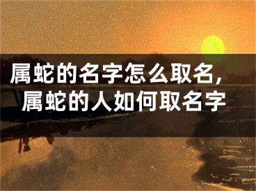 属蛇的名字怎么取名,属蛇的人如何取名字
