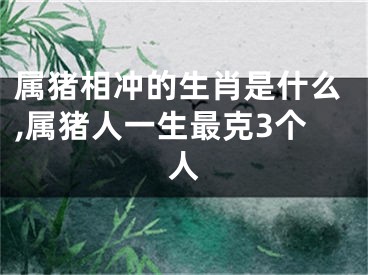 属猪相冲的生肖是什么,属猪人一生最克3个人