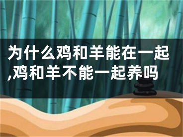 为什么鸡和羊能在一起,鸡和羊不能一起养吗