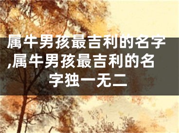属牛男孩最吉利的名字,属牛男孩最吉利的名字独一无二