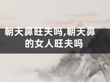 朝天鼻旺夫吗,朝天鼻的女人旺夫吗